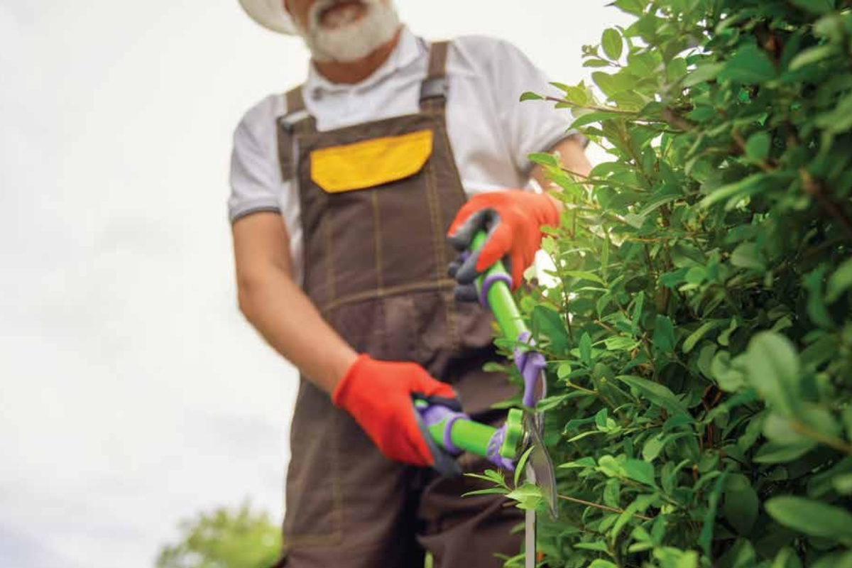 Landscaping Services